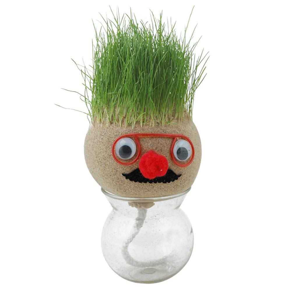 Weesey Mini Growing Grass Head Kit - Fun Educational DIY Toy for Kids, Creative Science Project & Unique Gift Idea - Perfect for Classroom Activities, Birthday Presents & Home Gardening Fun