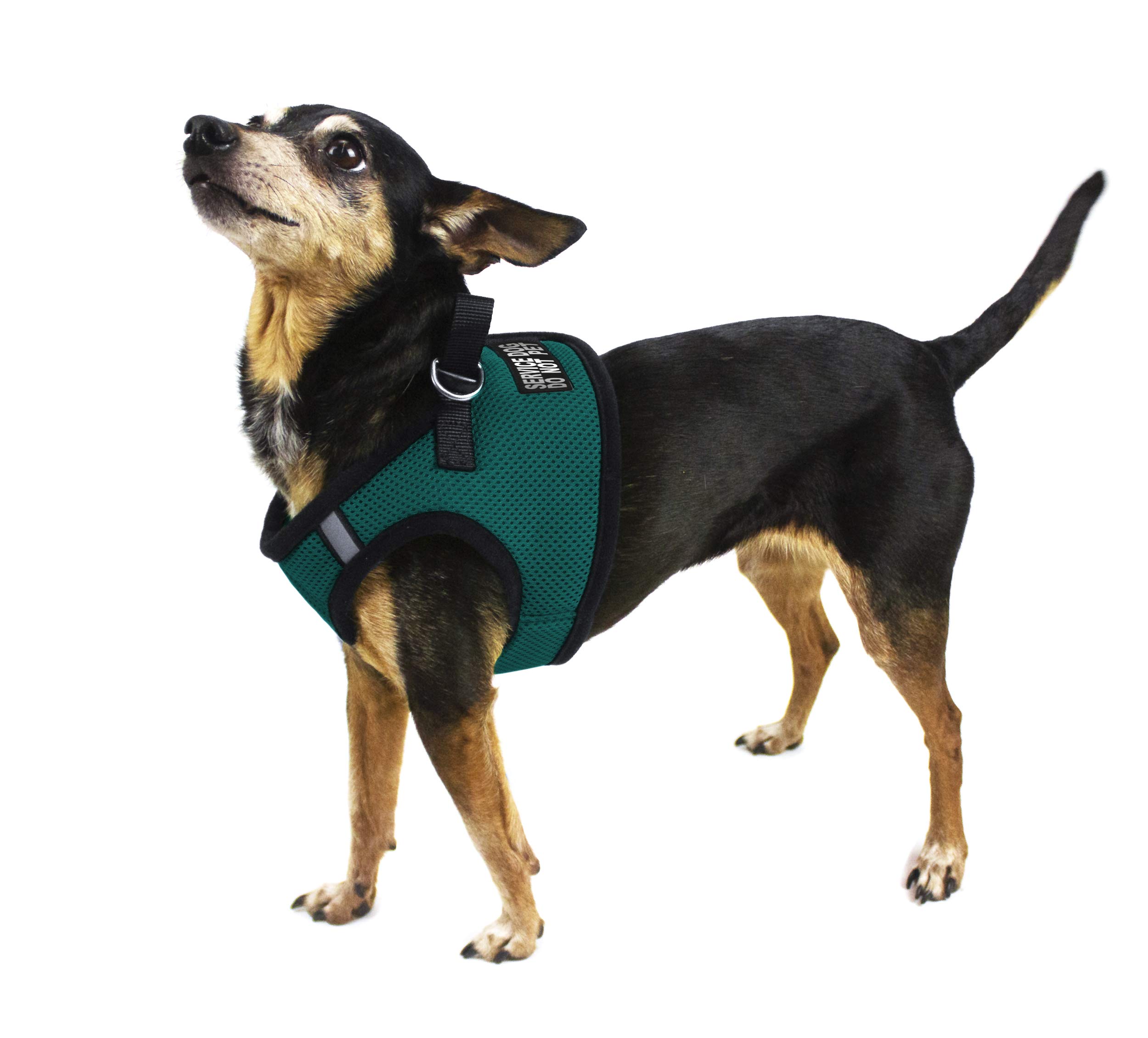 Dogline Boston Step-in Mesh Dog Harness with 'Service Dog Do Not Pet' Patch - No-Choke Soft Padded Vest for Small, Medium & Large Dogs (27-31in Girth) - Gentle Chest Support for Walking, Training & Outdoor Adventures - Dark Teal