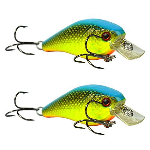Chartreuse Blue Back