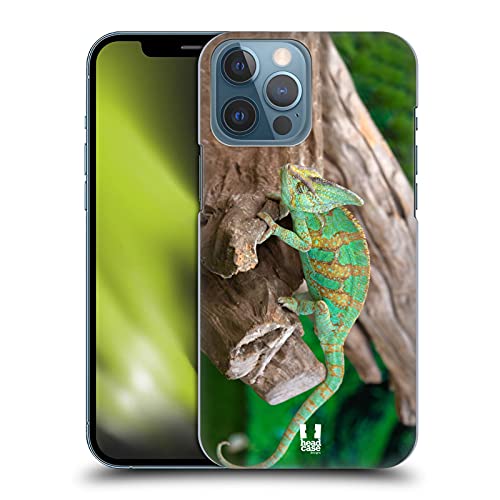 Chameleon