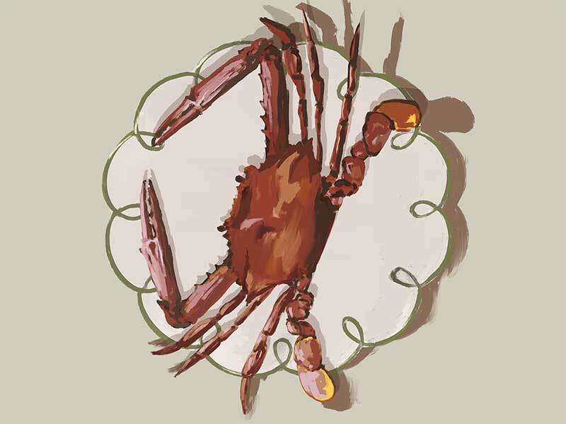 Stylish Crustacean Beige Canvas Art Print - Perfect for Living Room, Bedroom & Office Wall Decor