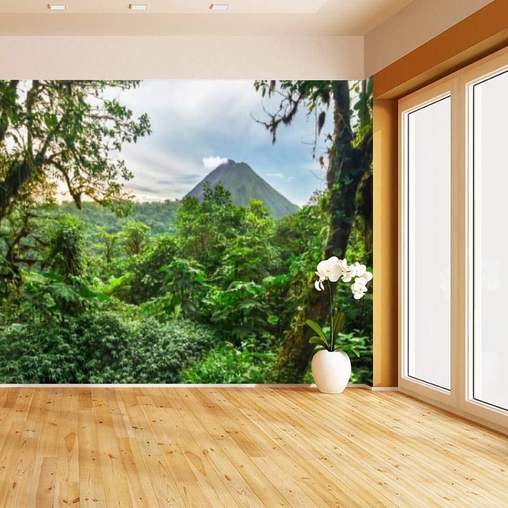 Peel and Stick Wallpaper - HIMURAL Volcan Arenal & Costa Rican Jungle Self-Adhesive Mural | Removable Wall Decals for Bedroom, Living Room, Nursery Decor | Tropical Landscape Photo Wall Sticker