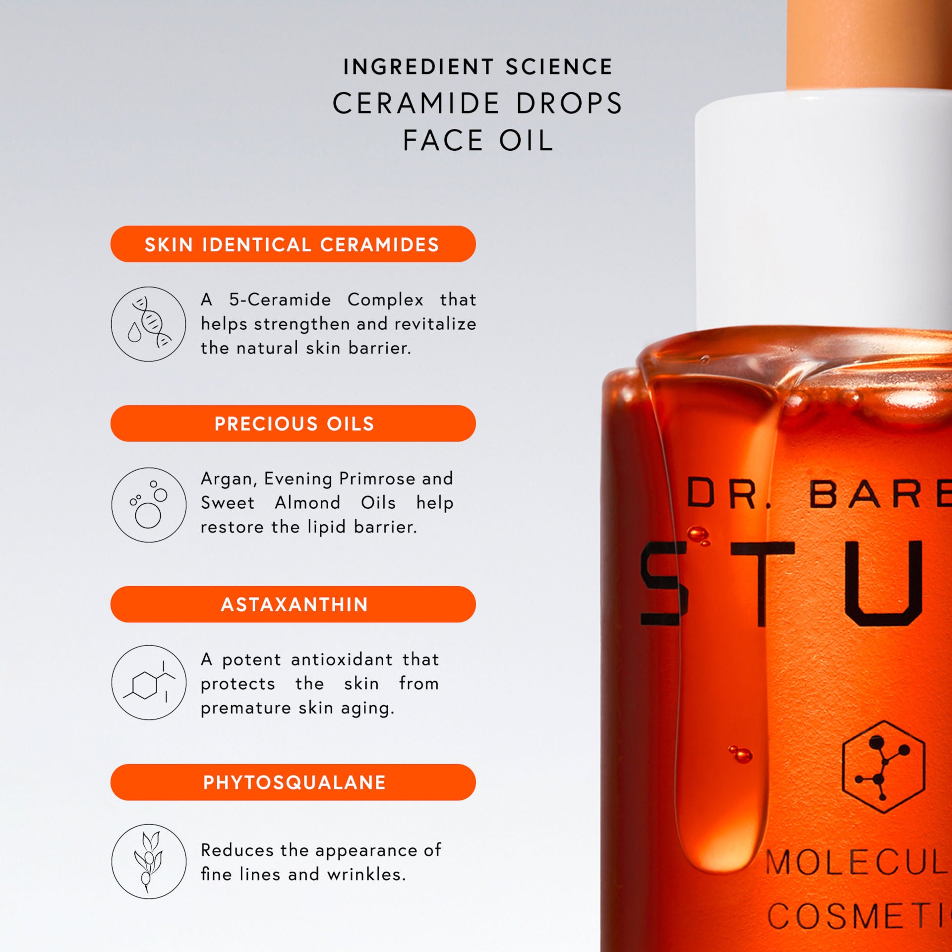 Dr. Barbara Sturm Ceramide Drops - Hydrating Facial Serum for Dry & Sensitive Skin | Anti-Aging & Skin Barrier Repair | Perfect for Nighttime Skincare Routine