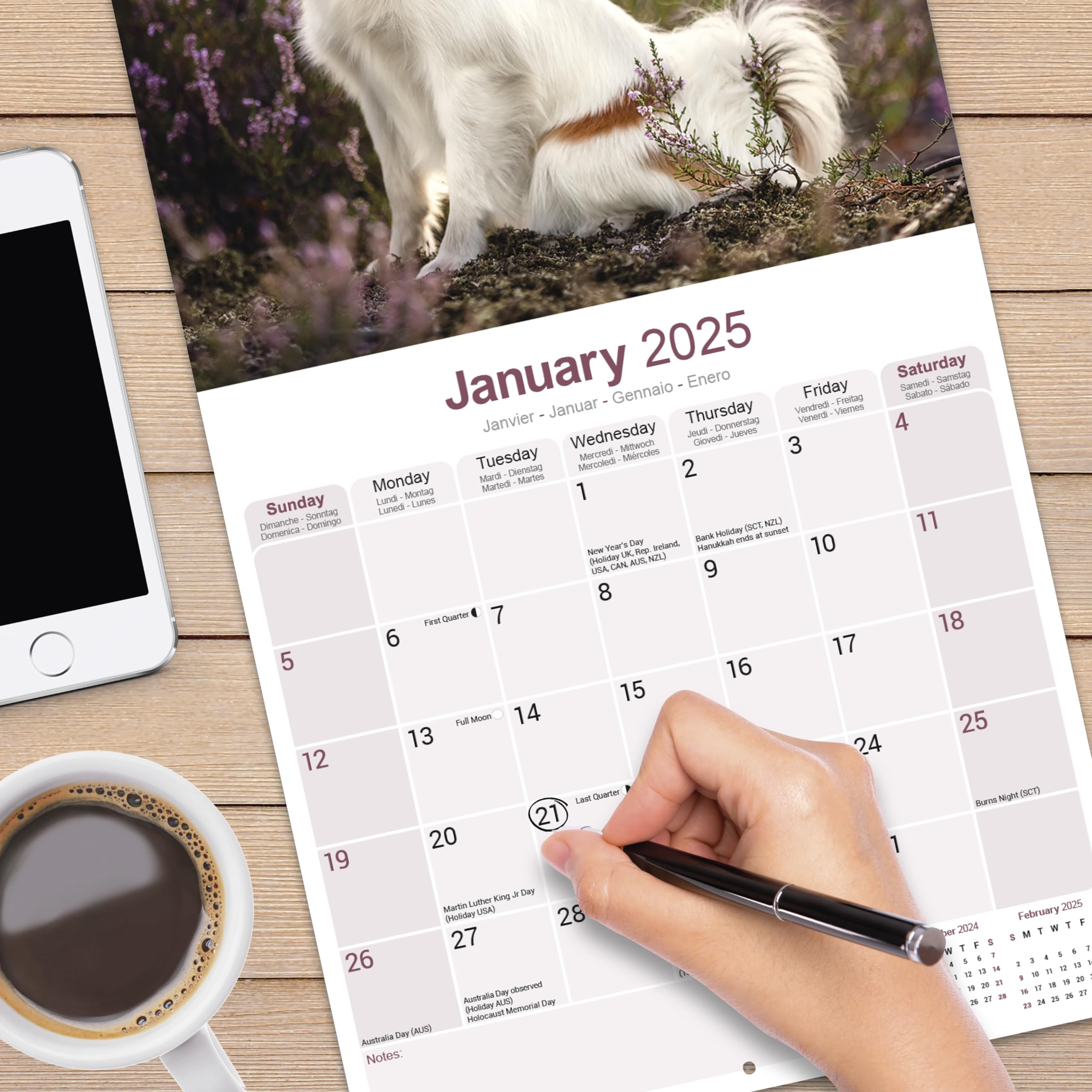 2025 Papillon Dog Breed Wall Calendar | 16-Month Square Pet Calendar for Home & Office Decor | Perfect Gift for Dog Lovers