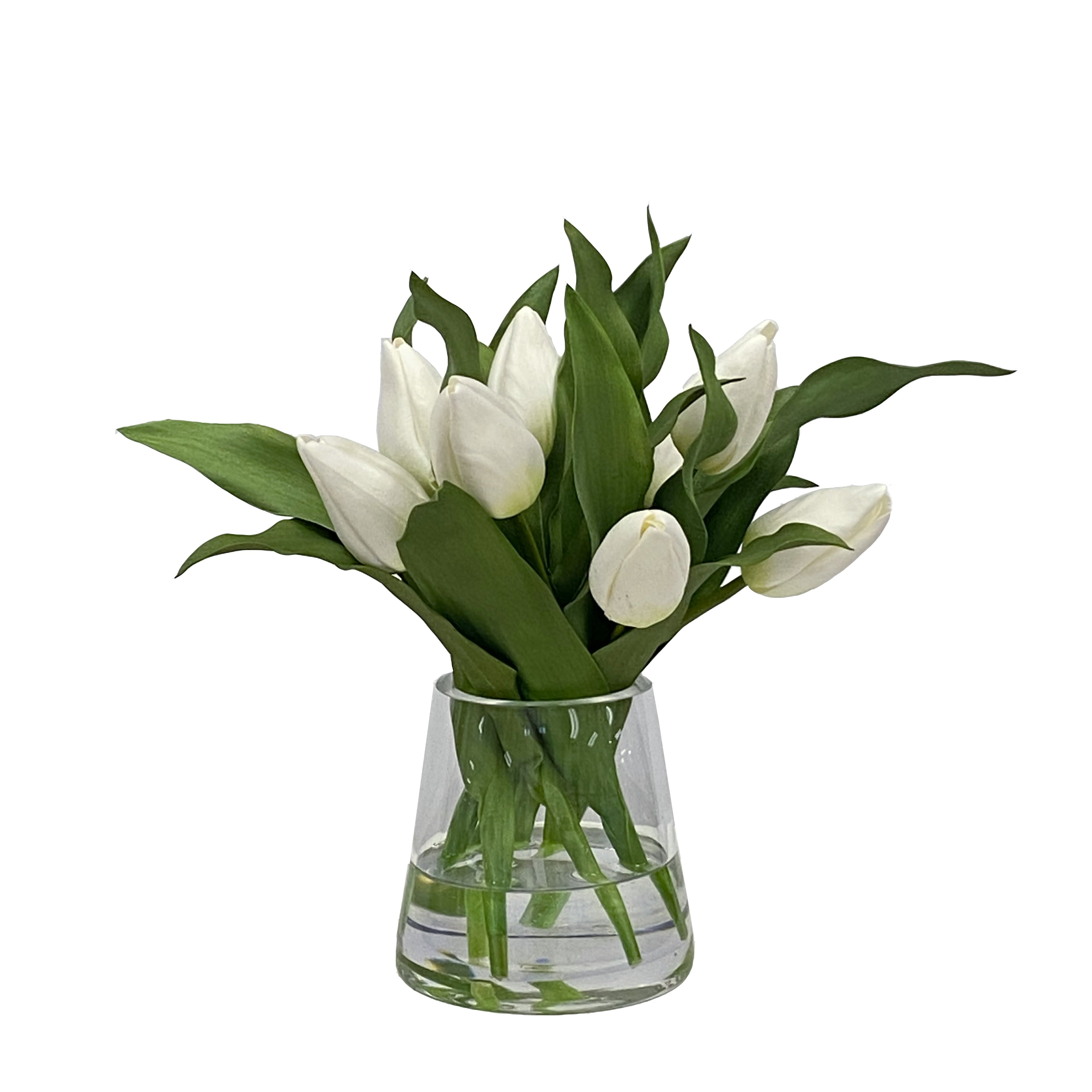 Montecito Tulips - Premium Fresh Cut Flowers for Home Decor, Weddings & Special Events | Bulk Tulip Bouquets for DIY Floral Arrangements
