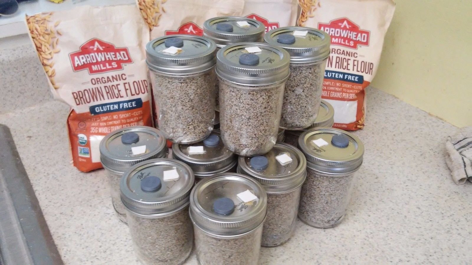 Organic Brown Rice Flour & Vermiculite Mushroom Substrate - 12 Pack (1/2 Pint Jars) - Premium Mushroom Growing Kit for Home Cultivation - Perfect for Oyster, Shiitake & Lion's Mane Mushrooms