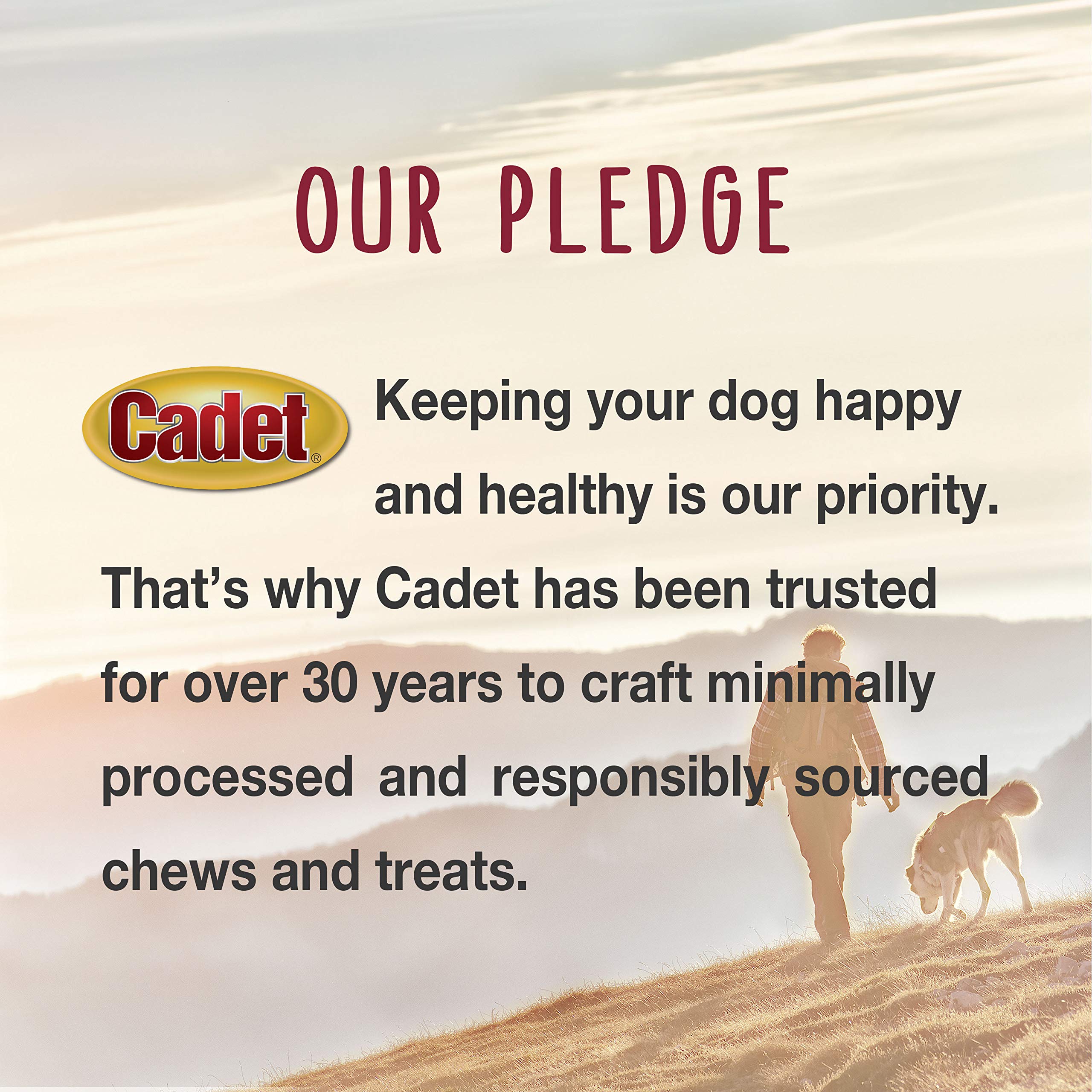 Cadet Gourmet Chicken & Apple Wrapped Dog Treats - Healthy Natural Training Snacks for Small & Large Breed Dogs - USA Inspected & Tested (14 oz) - Perfect for Reward Training, Travel & Daily Treats