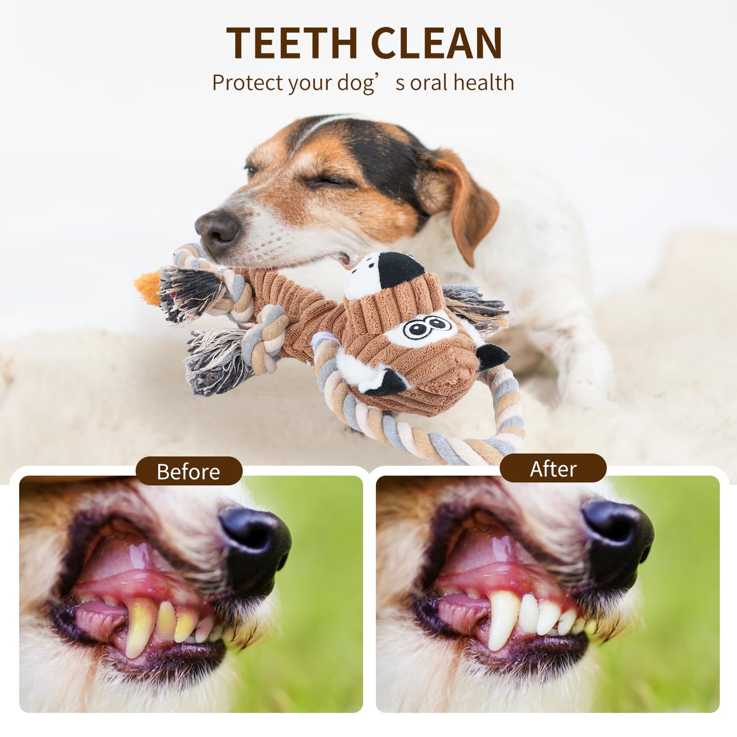 Durable Squeaky Dog Chew Toys with Rope - Interactive Lion Shape Puppy Toy for Small, Medium & Large Dogs | Perfect for Playtime, Training & Teeth Cleaning