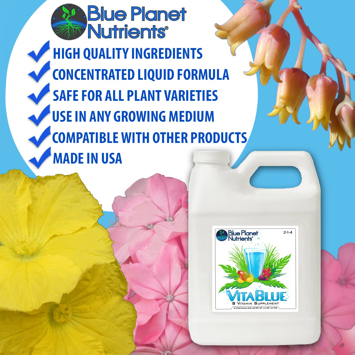 VitaBlue Complete B-Vitamin Supplement for Plants (128 oz Gallon) - Concentrated All-Purpose Liquid Fertilizer for Indoor & Outdoor Plants, Gardens, Hydroponics - Promotes Growth & Nutrient Absorption
