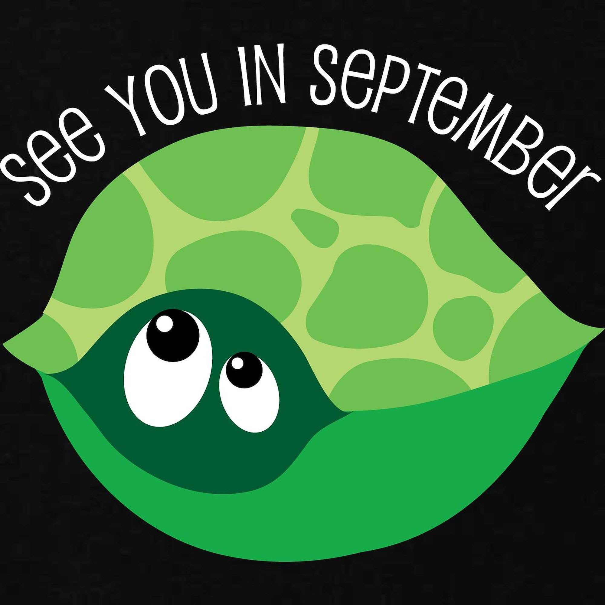 September Due Date Turtle Belly Print Maternity T-Shirt for Women - Comfortable Ruched Side Design - Perfect for Pregnancy Announcements & Baby Showers