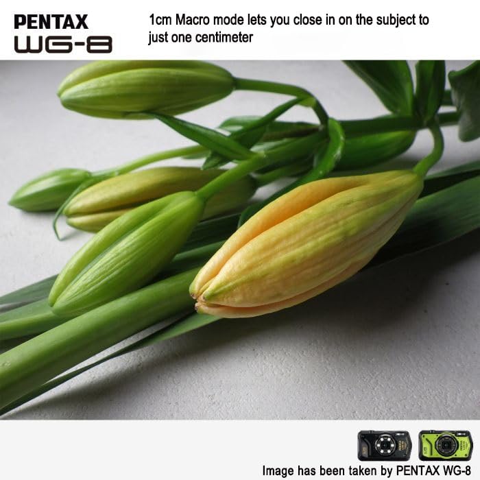 **PENTAX WG-8 Black Waterproof Digital Camera - Shockproof, Dustproof, 4K Video, Macro Ring Light, Webcam Function for Outdoor Adventures, Travel & Vlogging**    *(Optimized for SEO, includes key features and usage scenarios like outdoor adventures, travel, and vlogging.)*