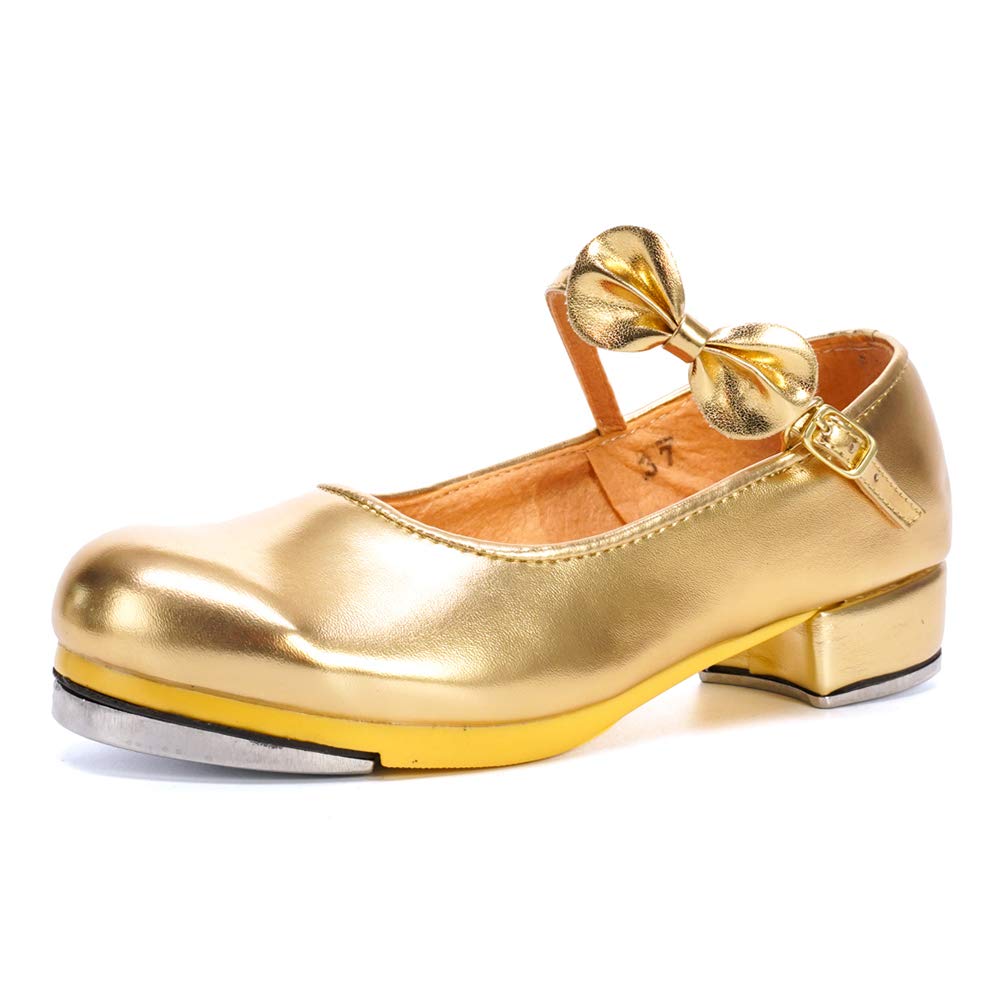 HROYL Kids Tap Shoes for Boys & Girls - TL208/258 for Dance & Performance