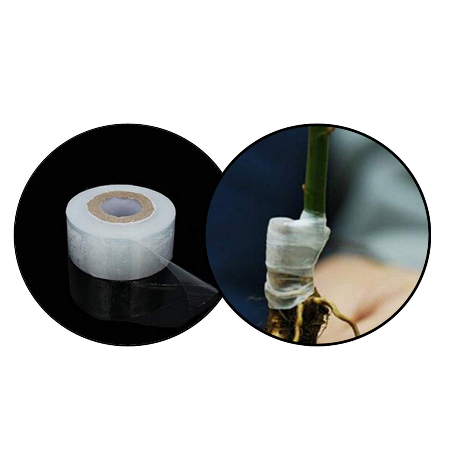 Premium Stretchable Grafting Tape for Plants - Clear Moisture Barrier Film for Fruit Trees, Flowers & Nursery Plants - Ideal for Budding, Grafting & Plant Repair - Perfect for Home Gardeners & Professional Nurseries