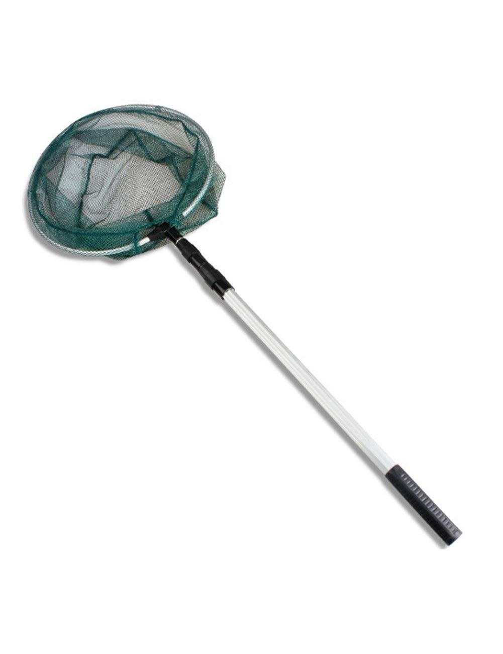 **WYSDYG Folding Fishing Landing Net - Lightweight & Durable for Bass, Saltwater & Freshwater Fishing - Perfect for Boat Fishing & Long-Distance Angling - Ideal Gift for Fishing Enthusiasts (Great for Catch & Release, Kayak Fishing, and Shore Fishing)**