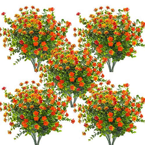 Orange-eucalyptus