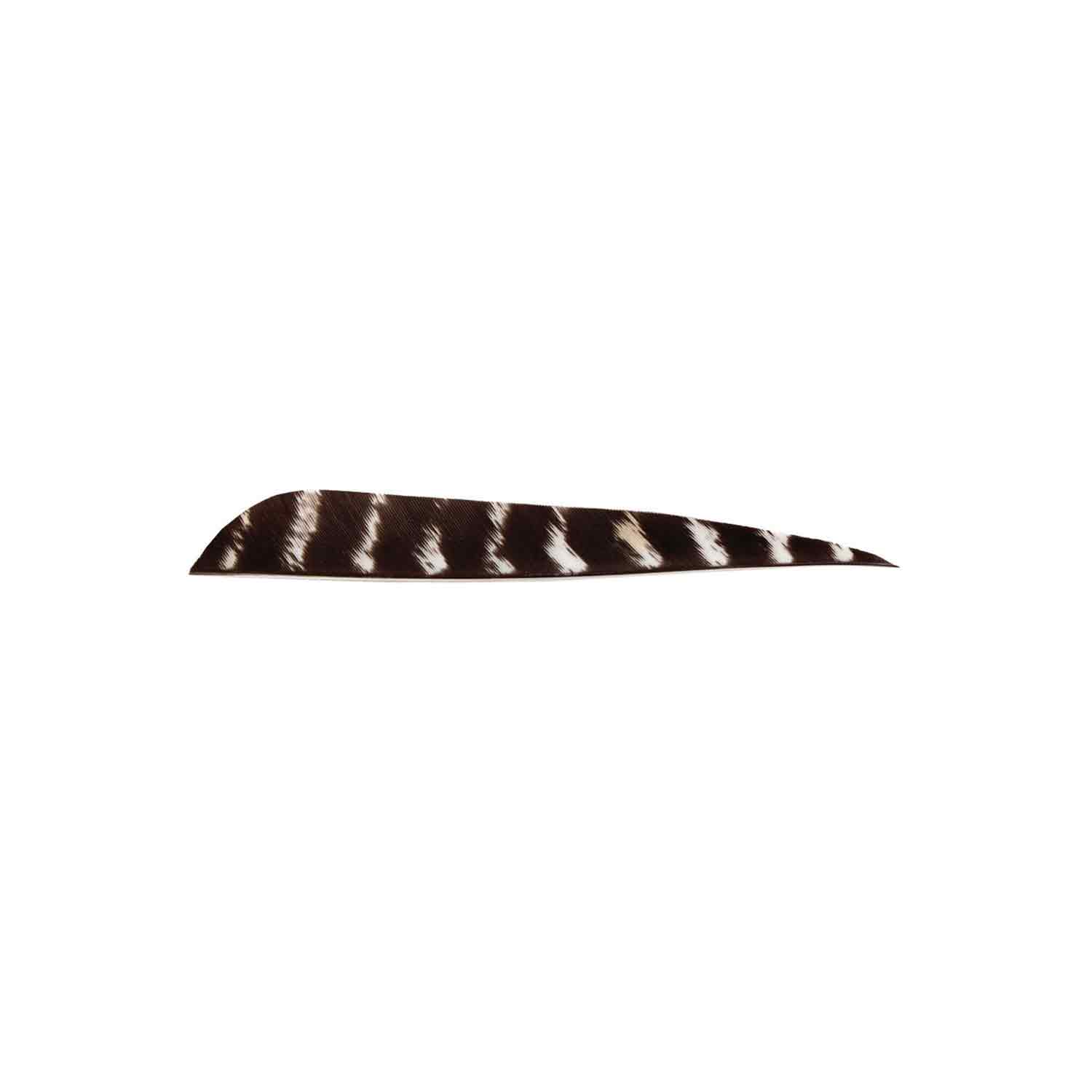 Bearpaw 4 Parabolic Natural Barred Feather - High Quality Fly Tying Materials for Fly Fishing Enthusiasts | Perfect for Trout, Salmon and Bass Fishing Accessories