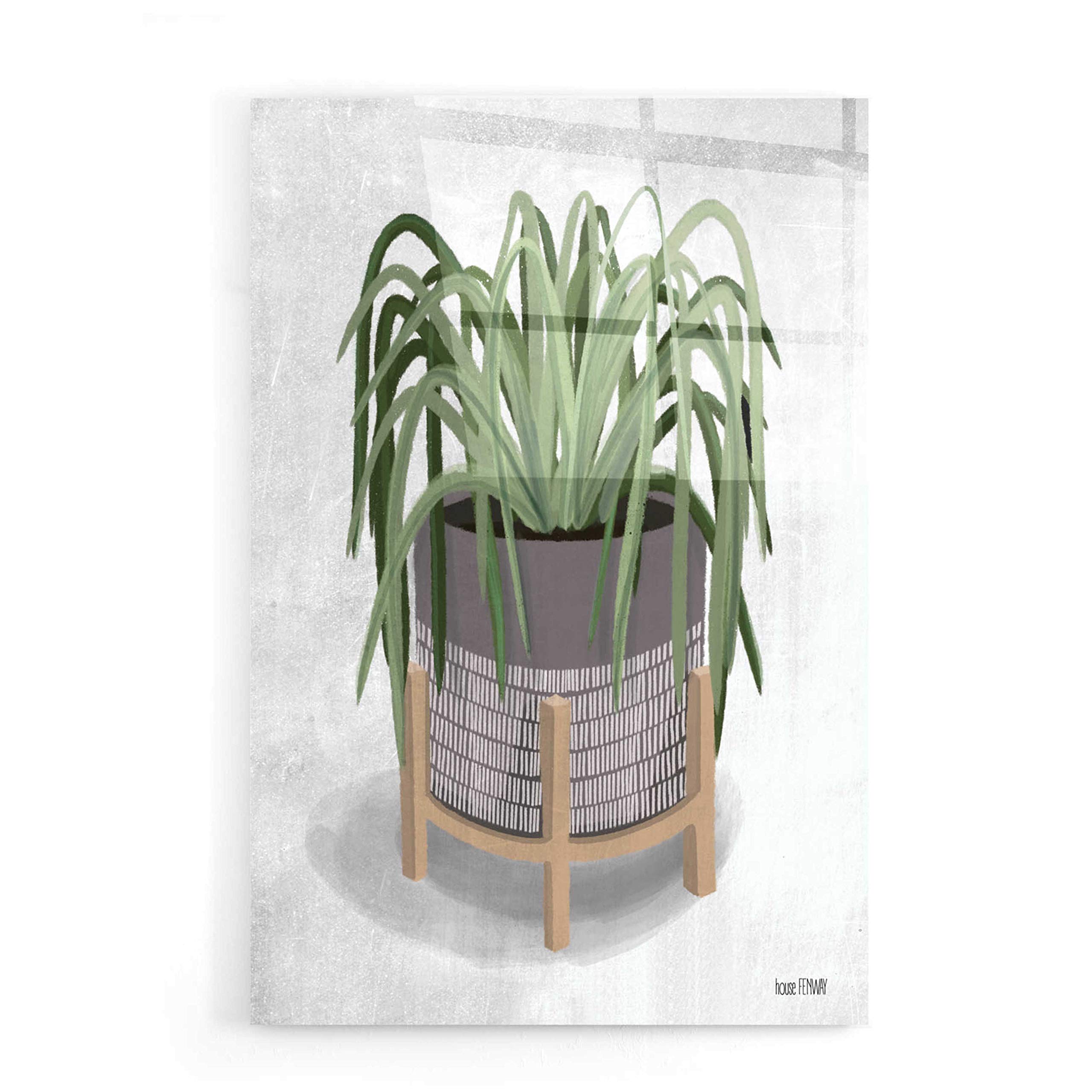 House Fenway Spider Plant Acrylic Glass Wall Art - 16x24 Inches Modern Botanical Decor for Living Room, Bedroom & Office