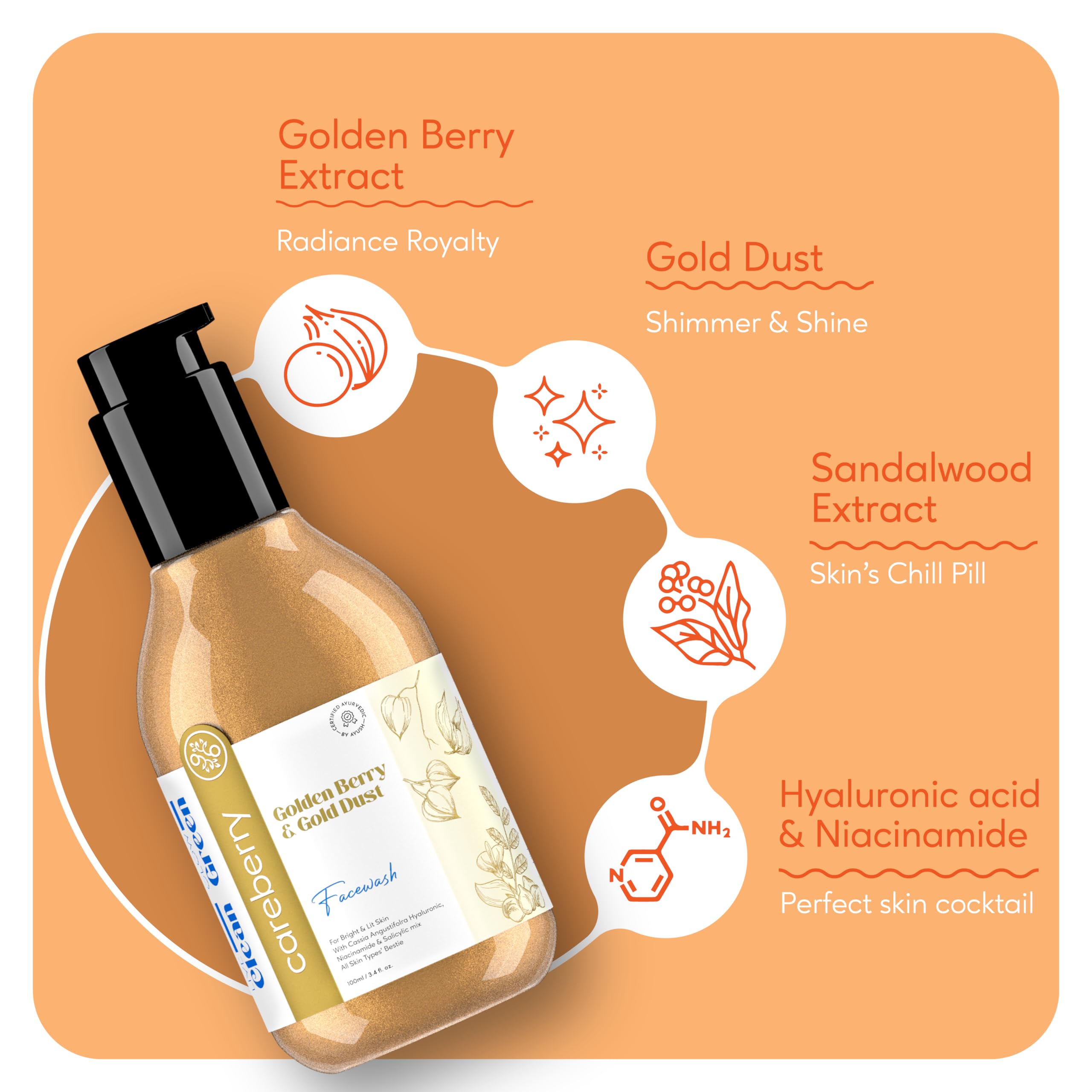 Careberry Golden Berry & Gold Dust Face Wash - Ayurvedic Brightening Cleanser with Hyaluronic Acid, Niacinamide & Salicylic Acid | Anti-Pollution, AYUSH Certified | For Glowing Skin (Men & Women, 100ml) | Perfect for Daily Skincare Routine & Pollution Protection