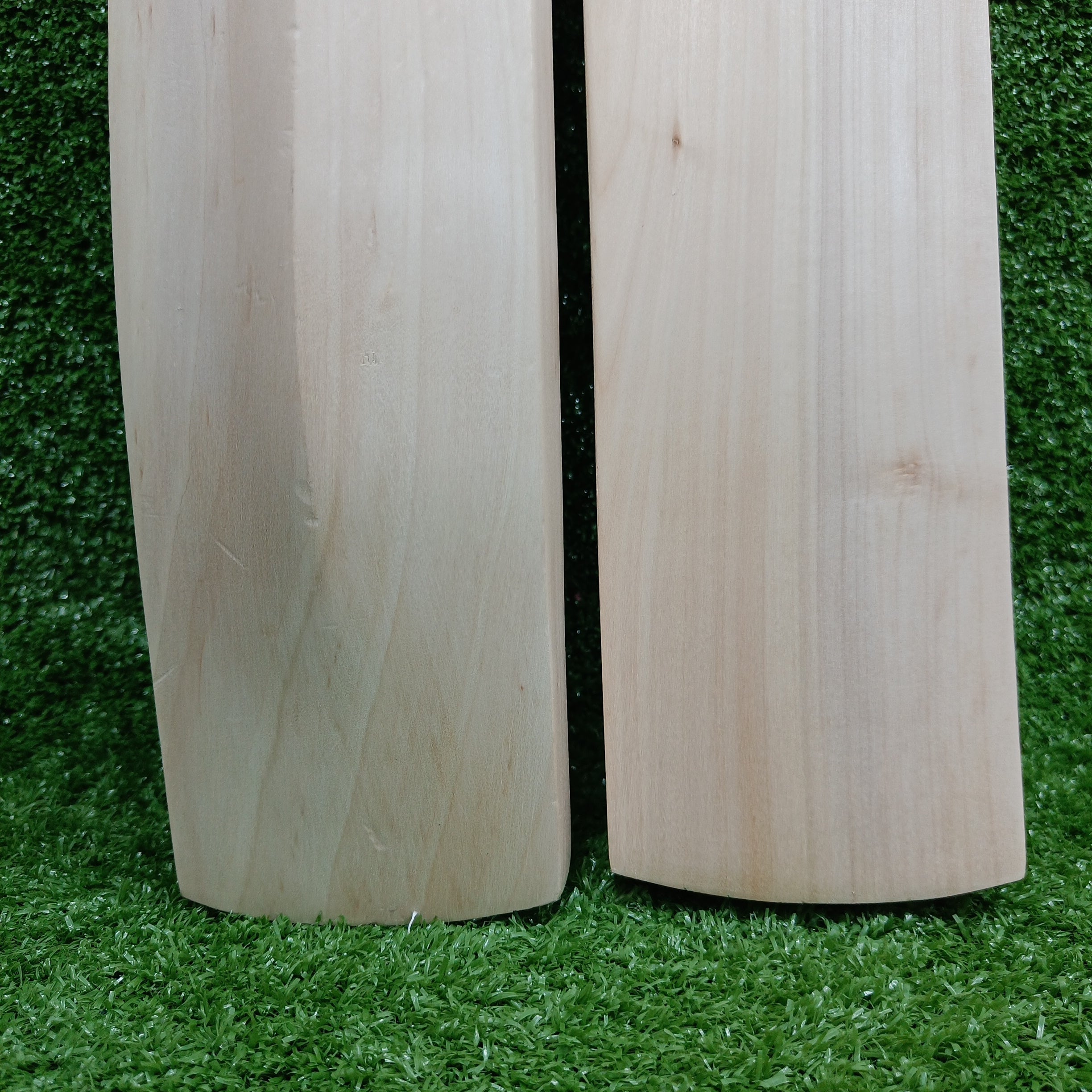 Premium Raydn Mongoose Kashmir Willow Adult Cricket Bat - Lightweight & Durable for Professional Matches & Practice Sessions