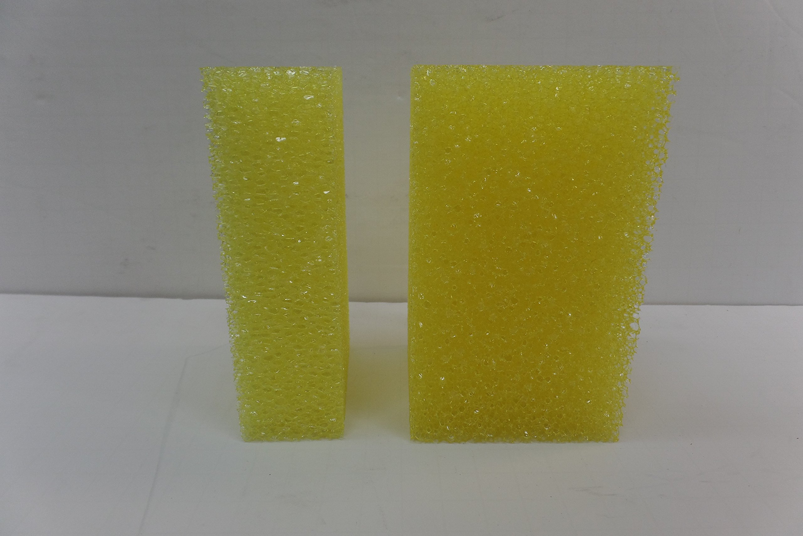 2 Pack Bug Sponges - Effective Insect Cleaning Sponge for Kitchen, Camping, and Outdoor Use
