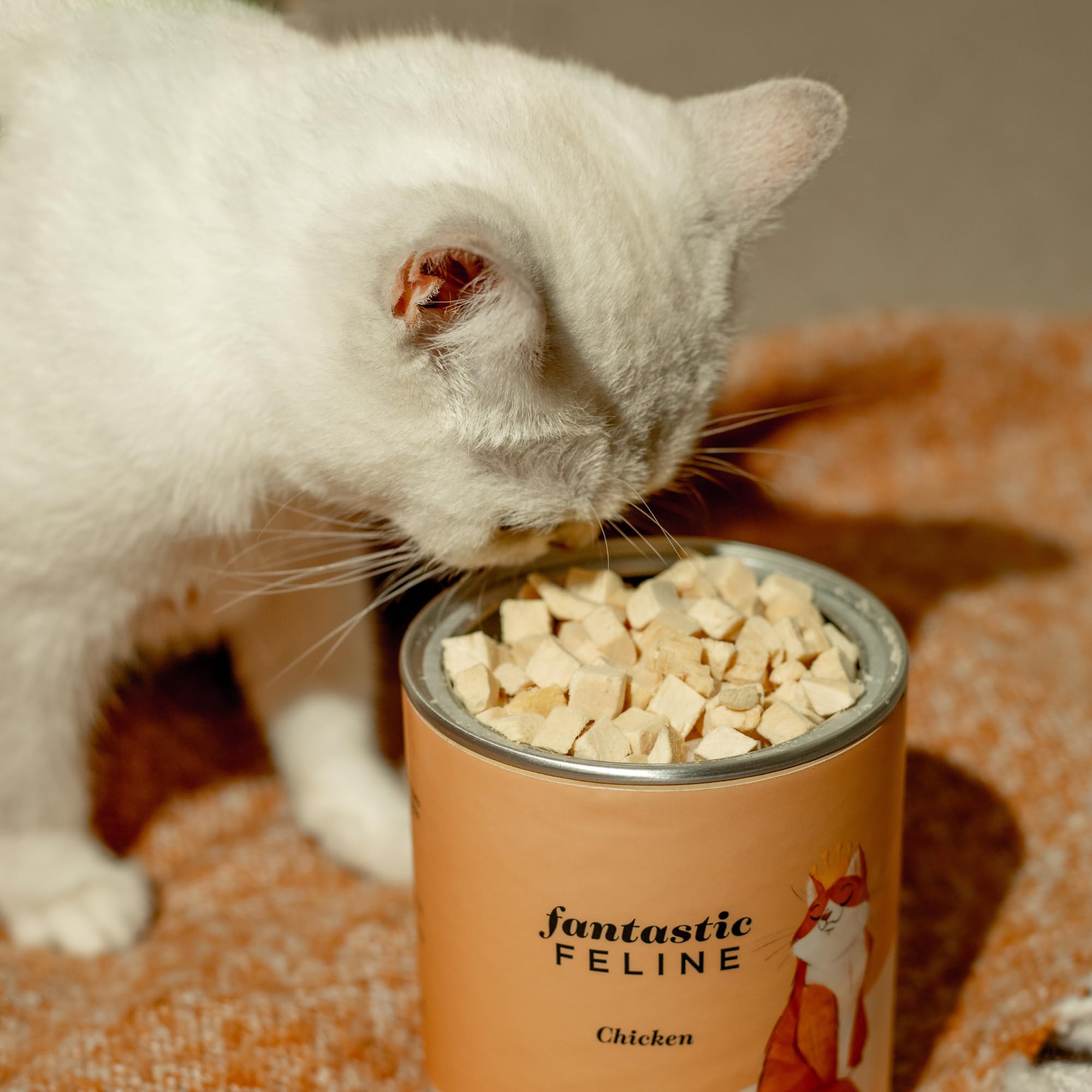 Premium Freeze-Dried Chicken Cat Treats - All-Natural, Grain-Free Snacks for Indoor & Outdoor Cats - Crunchy Bite-Sized Healthy Rewards (5.6oz) - Perfect for Training, Bonding & Dental Health