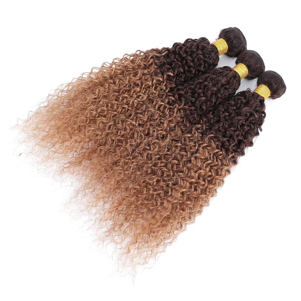 100% Unprocessed Brazilian Virgin Human Hair Weave Bundles - 3 Bundles Kinky Curly 2 Tone Ombre (T4/30 Medium Brown/Medium Auburn) 22