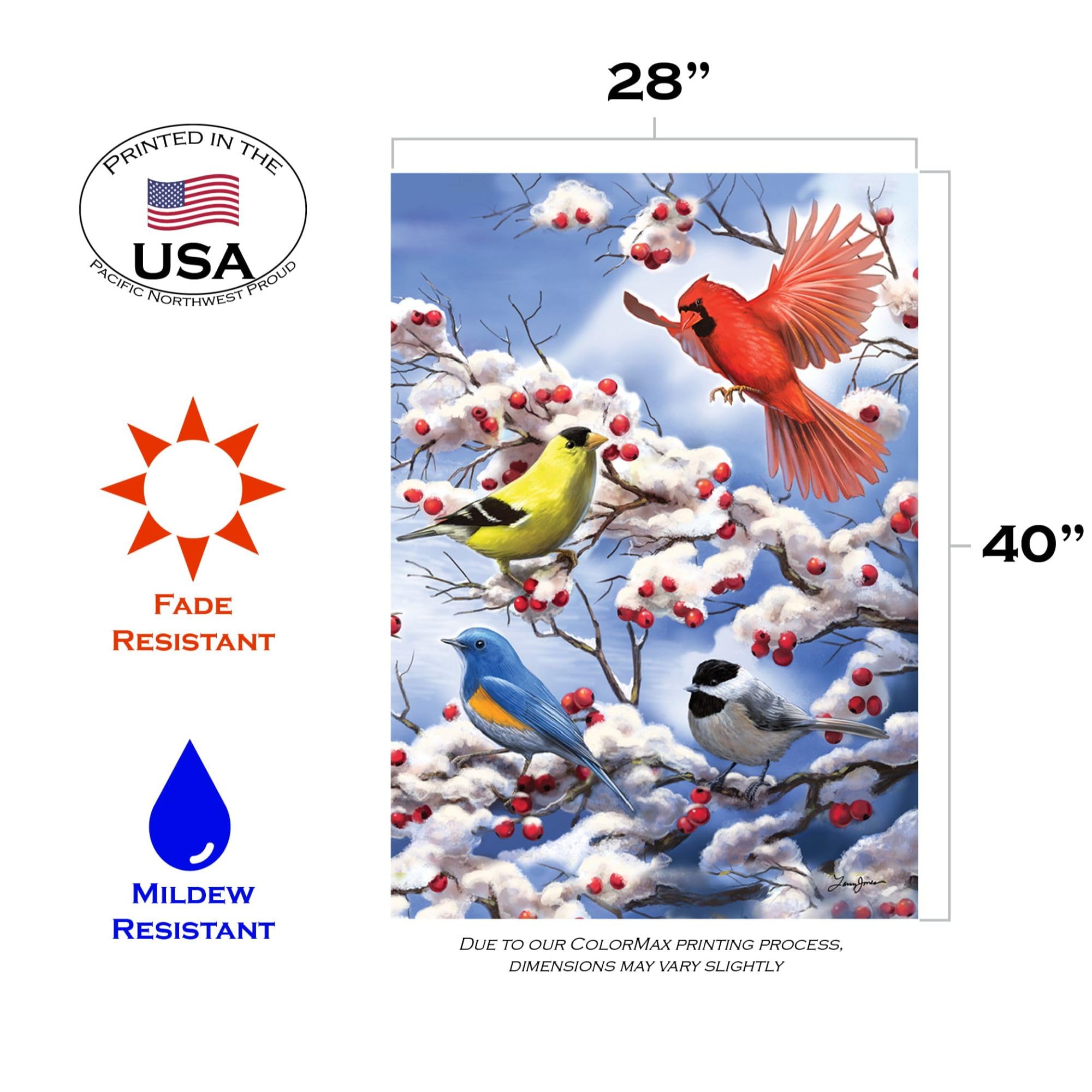 Toland Home Garden 1010478 Finch and Cardinal Winter Flag - 28x40 Inch Double Sided Outdoor Garden Flag with Bird Design - Perfect for House Yard Decoration in Winter Season | Ideal for Front Porch, Lawn, and Seasonal Holiday Decor
