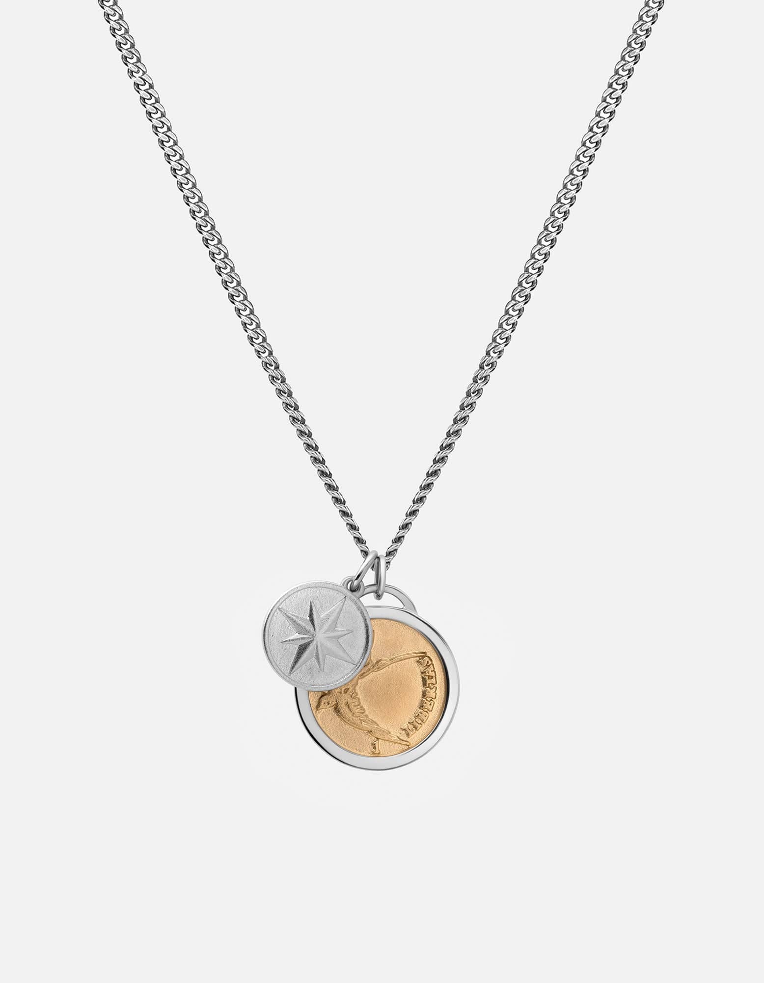 Polished Silver/Polished Gold