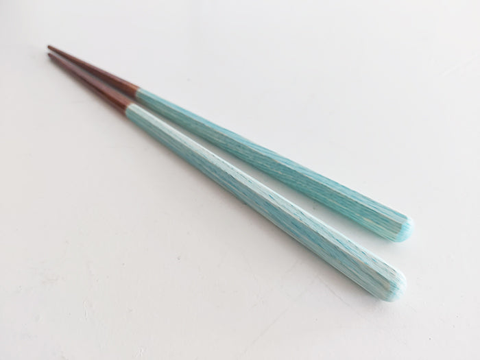 Hyozaemon Kids Octagonal Training Chopsticks - Non-Slip Easy Grip for Beginners, Perfect for Sushi, Noodles & Asian Cuisine Practice