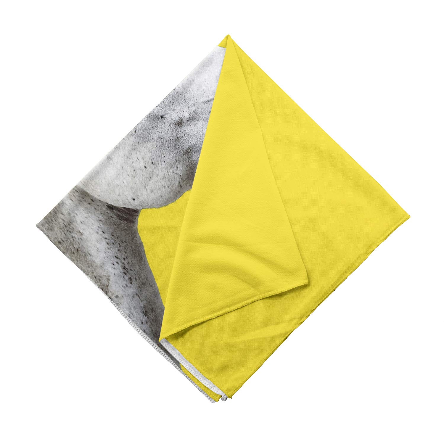Ambesonne Modern Bandana - Horse with Pink Woman Lips Design, Unisex Head & Neck Scarf for Men & Women - Perfect for Outdoor Activities, Concerts, and Fashion Accessories