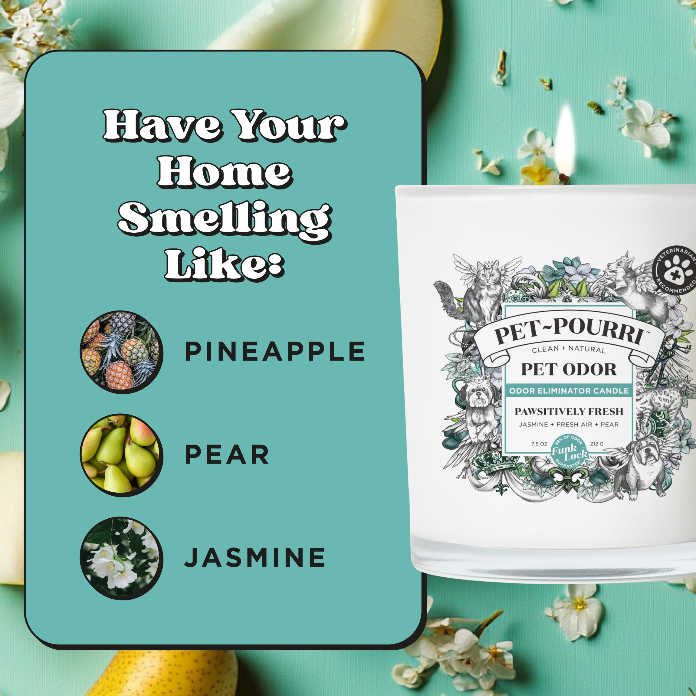 Pet Safe Deodorizer Candle - Plant Based Wax for Pet Odor - Pineapple Scent for Home & Grooming