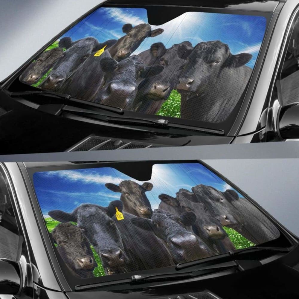 Car Sun Shade for Windshield - Universal Fit 26
