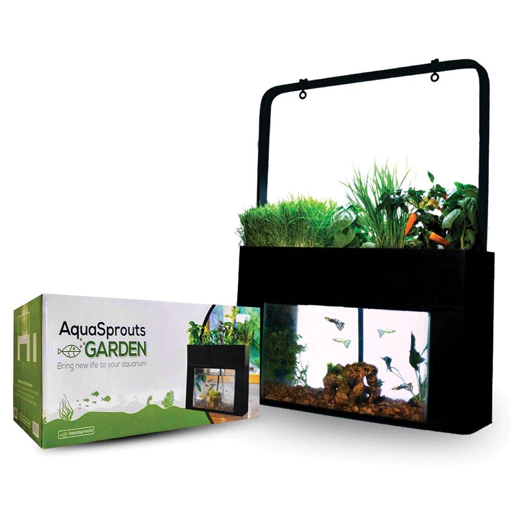 Aquasprouts Hydroponic Garden Kit - Complete Nutrient Cycling System for Indoor Herb & Vegetable Growing - Perfect for Home, Kitchen, and Classroom Hydroponics