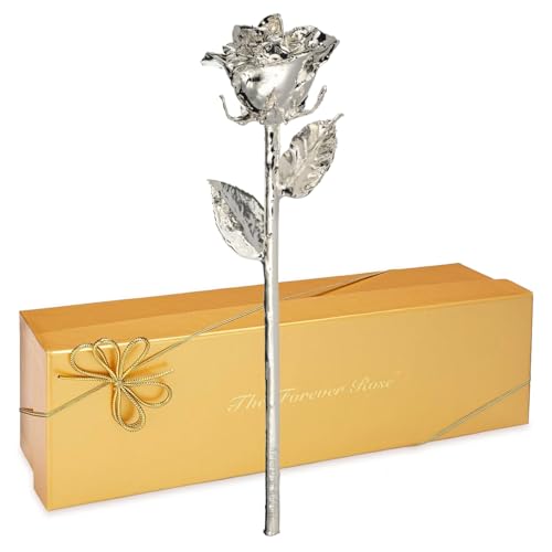Silver Dipped Rose (Engraved)
