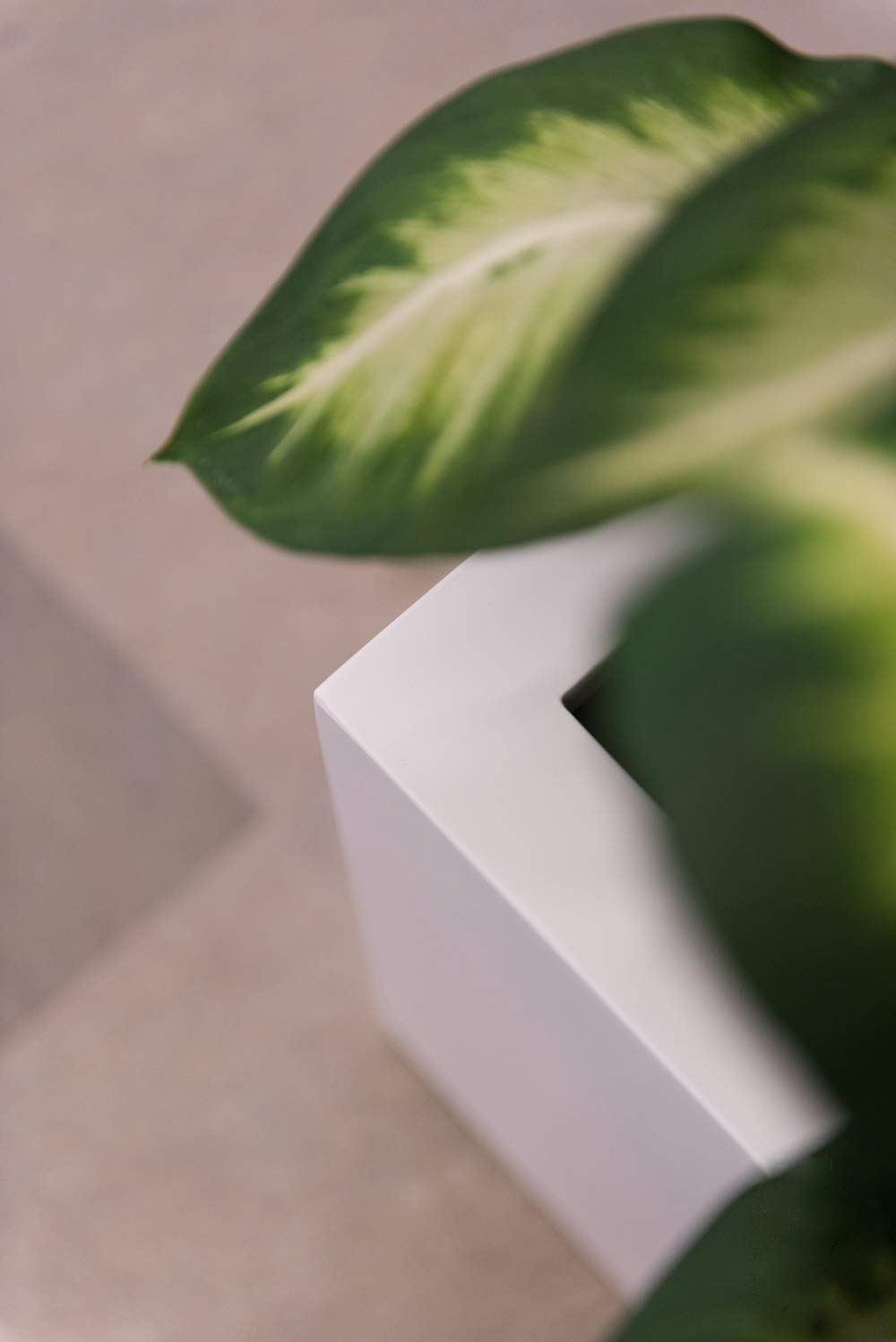 Jort S Fiberstone Modern Rectangular Planter Pot E1066-S1-MW - Indoor/Outdoor Matte White Plant Container for Home Decor, Patio & Garden