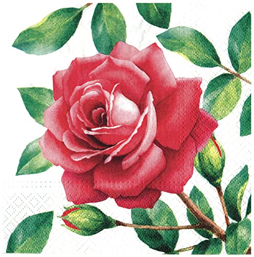 Special Rose