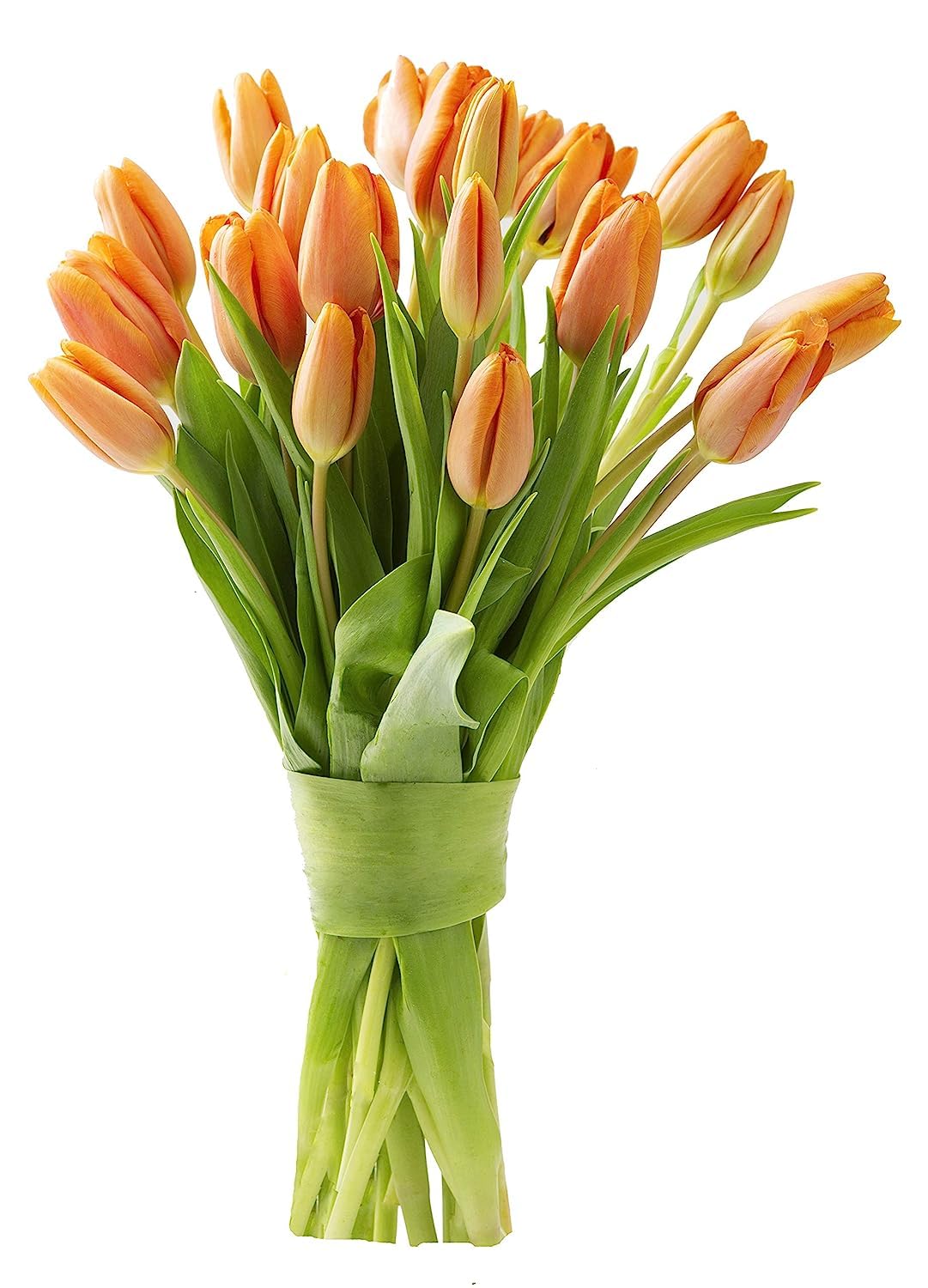 Premium 20 Orange Tulips Bouquet - Farm Fresh Cut Flowers for Valentine's Day, Birthday, Mother’s Day & Easter - Perfect Gift for Loved Ones, Home Decor & Special Occasions