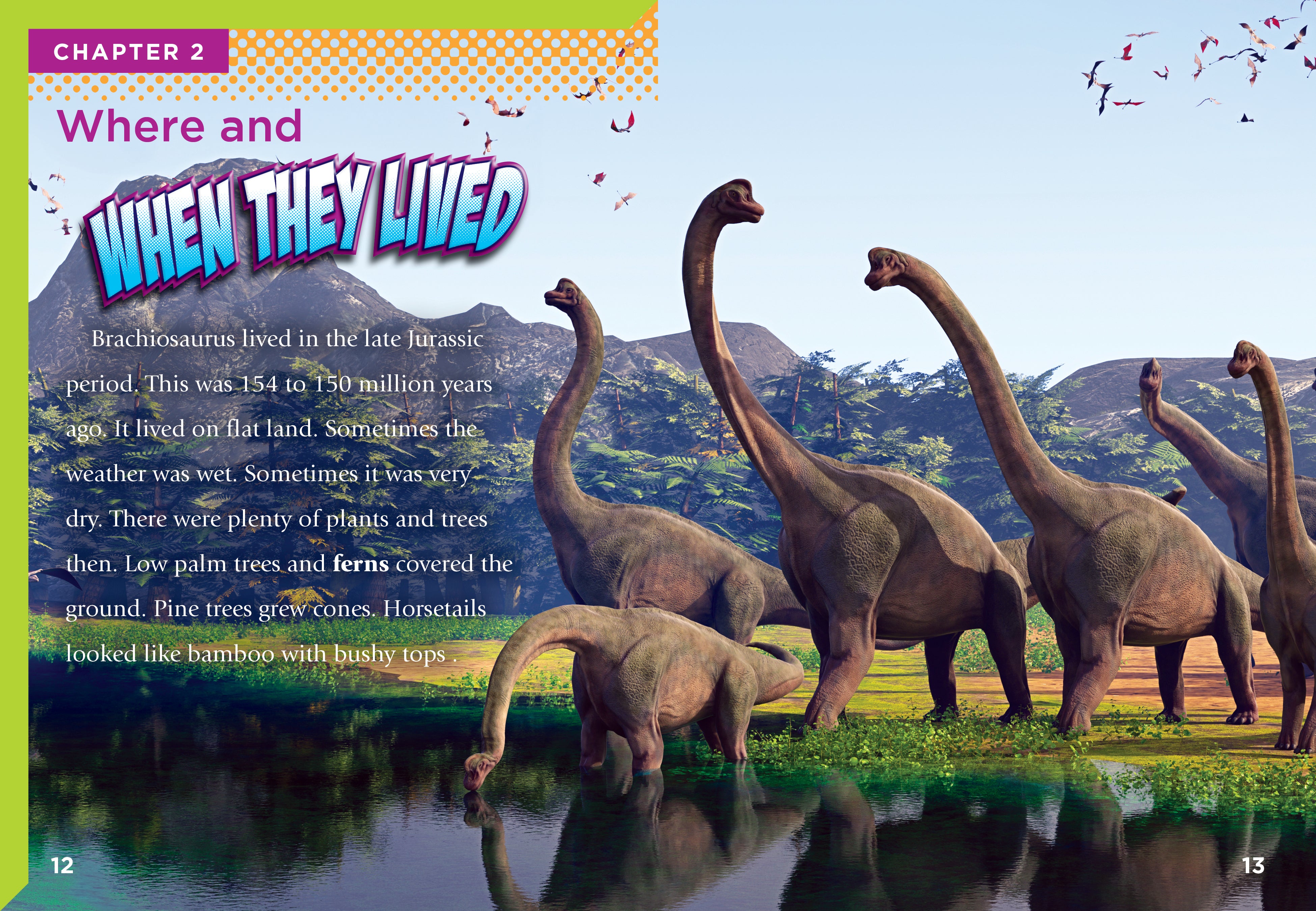 Brachiosaurus Dinosaur Book 9781623105891 - Educational Kids Reading & Learning for School, Home & Gifts
