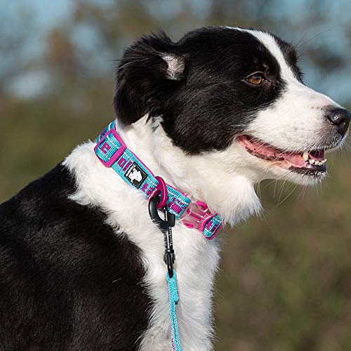 La La Pet® Reflective Adjustable Lightweight Dog Collar - Breathable Soft Padded Puppy Training Collar with Buckle & D-Ring - Nylon Straps for Outdoor Walking, Running & Training (Brown, Small) - Perfect for Nighttime Safety and Daily Pet Adventures