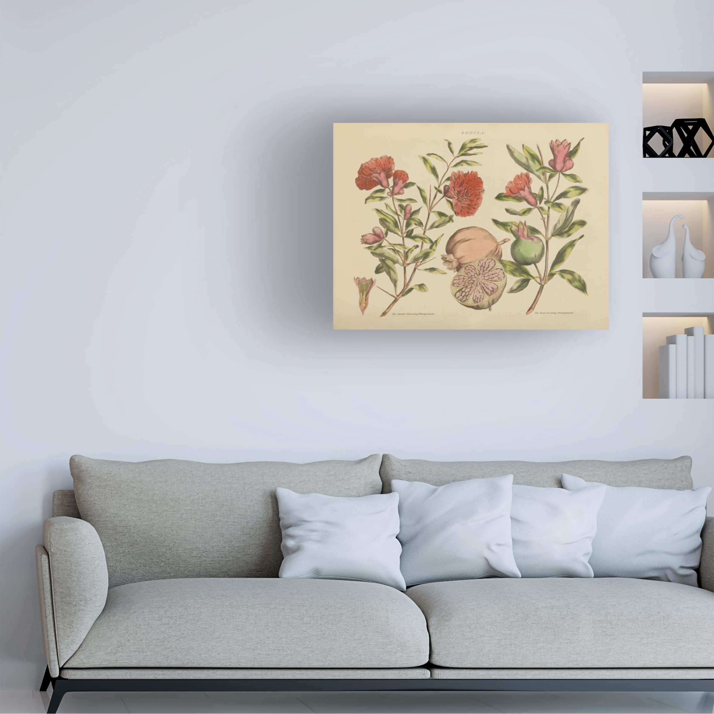 Trademark Fine Art 'Poppy Burst' Canvas Wall Art Print by Farida Zaman - Vibrant Floral Painting for Living Room, Bedroom & Office Decor