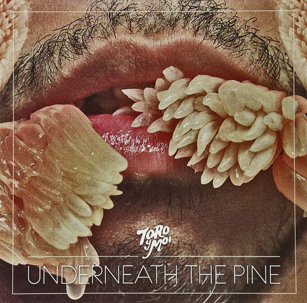 Toro Y Moi - Underneath The Pine Vinyl LP Album | VG+ Condition | Limited Edition Record for Music Collectors & Audiophiles | Perfect for Home Listening & Vinyl Collections