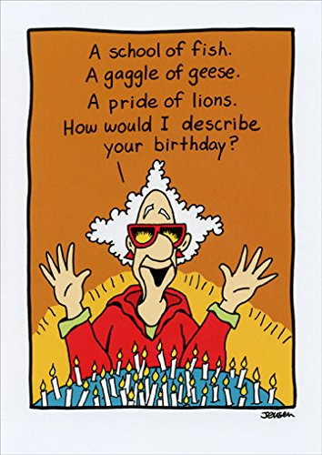 Funny Birthday Card - Hilarious & Unique Greeting Card for Friends & Family - Perfect for Birthdays, Parties & Special Occasions