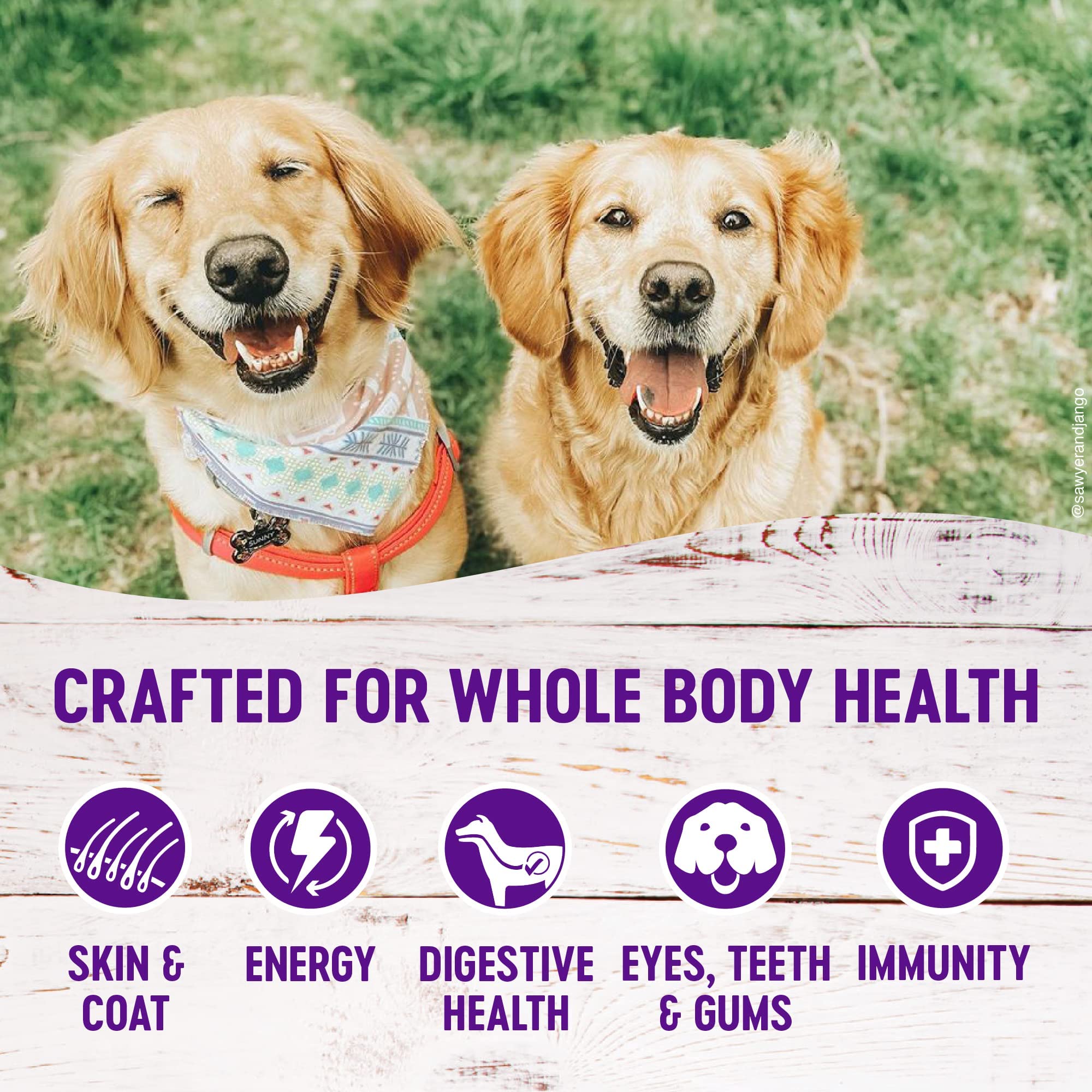 Premium Wellness Dog Food & Treats Bundle - Complete Health Dry Food (Whitefish, 5lb) + Rewarding Life Soft Treats (Lamb & Salmon) | High-Protein Nutrition for Adult Dogs | Perfect for Training, Rewards & Daily Meals