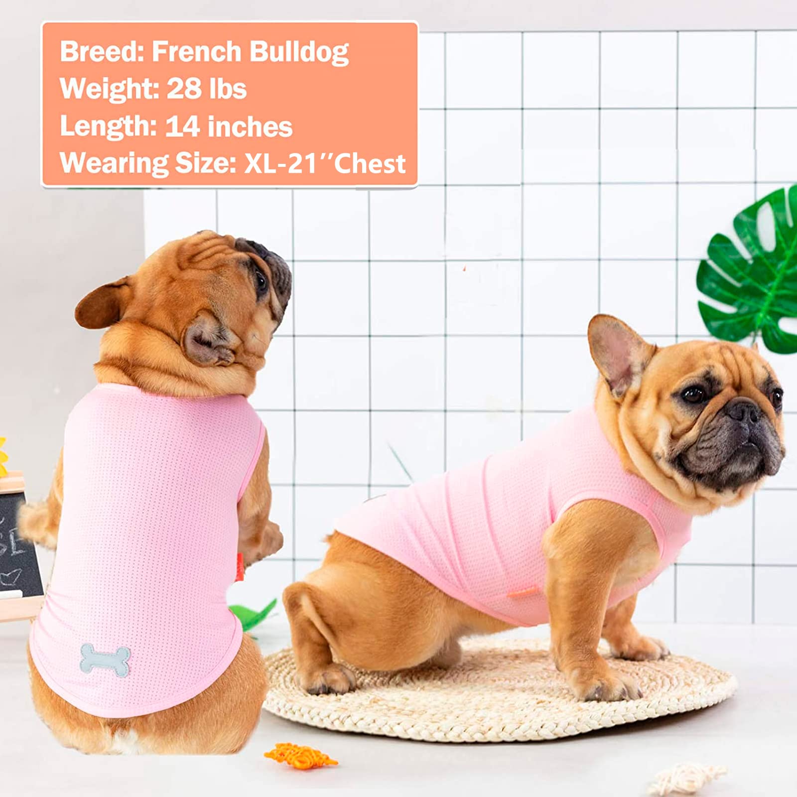 KYEESE 2 Pack Dog T-Shirts for Medium Dogs - Breathable Sleeveless Pet Tank Tops, Soft Cotton Summer Dog Clothes with Lemon Pattern - Perfect for Outdoor Walks, Beach Trips & Playtime