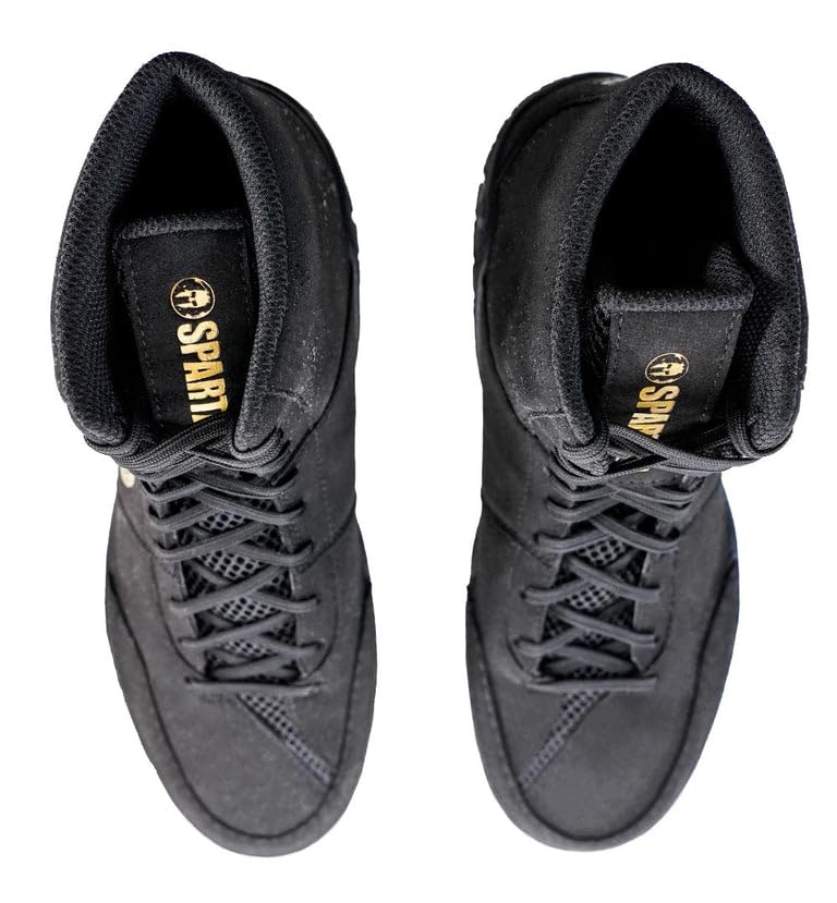 Dake Wrestling Shoes for Men - Lightweight & Breathable High-Top Grappling Shoes for Wrestling, MMA & BJJ - Non-Slip Rubber Sole for Optimal Grip on Mats - Perfect for Training, Competitions & Gym Workouts
