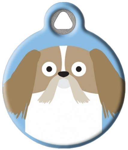 Shih Tzu Boy
