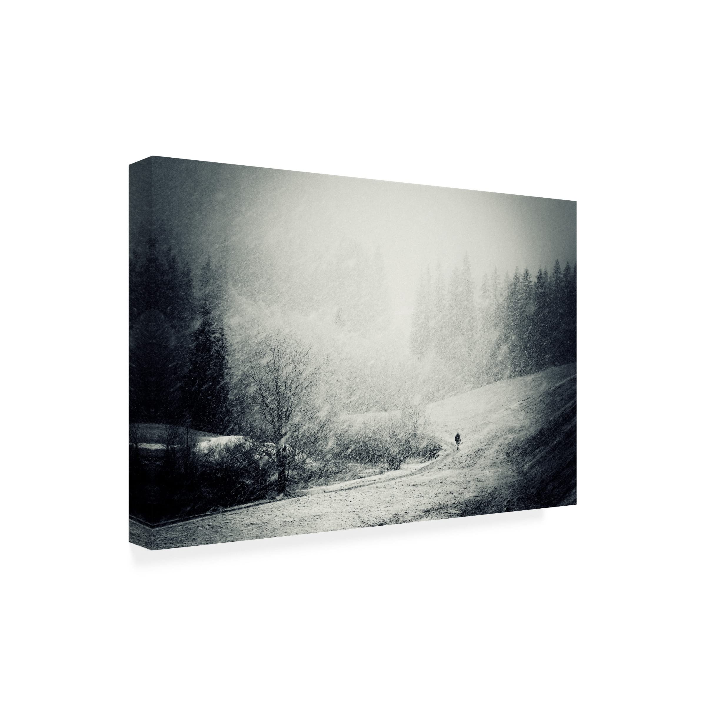 Trademark Fine Art 'Fog Snow Storm' Canvas Wall Art Print by Andre Gehrmann - Modern Landscape Painting for Living Room, Bedroom & Office Decor