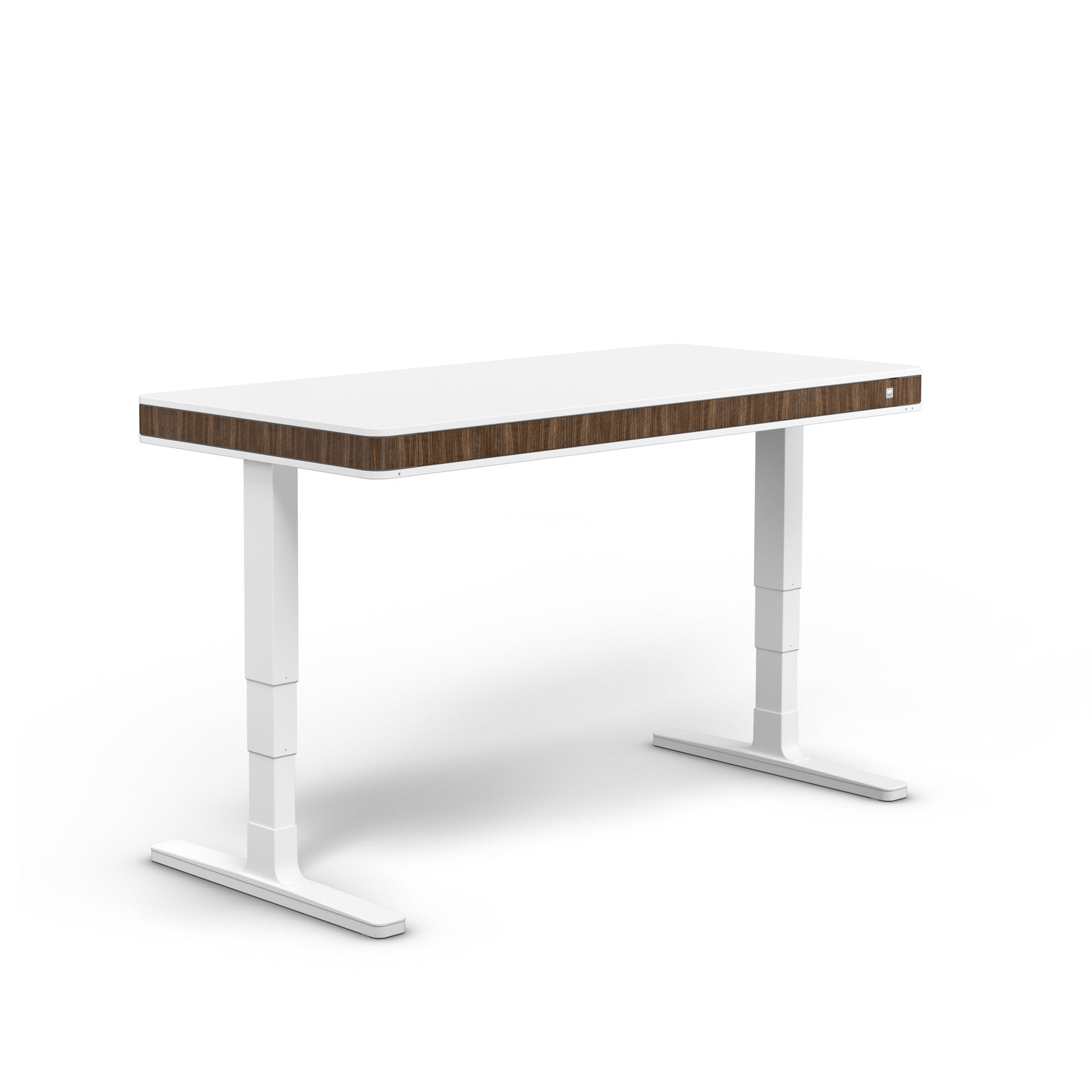 Moll T7 XL Electric Standing Desk - Adjustable Height Office Desk for Home & Workspace, Ergonomic Sit Stand Desk with Quiet Motor - Perfect for Remote Work, Gaming & Study