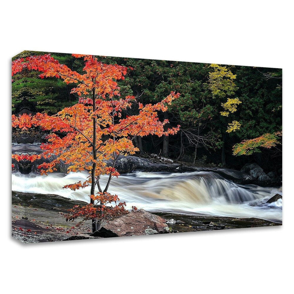 Autumn at Lower Rosseau Falls by David W. Pollard - Premium Canvas Wall Art Print - Ready to Hang - Perfect for Living Room, Bedroom & Office Decor