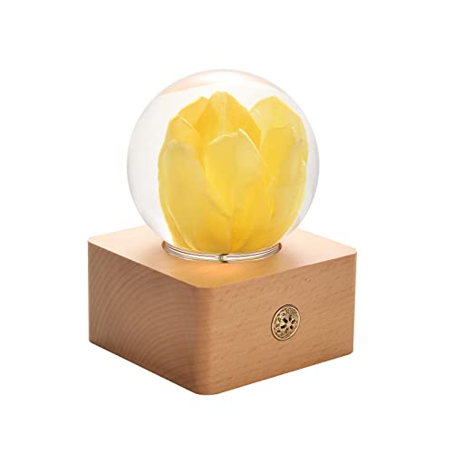 Yellow Tulip